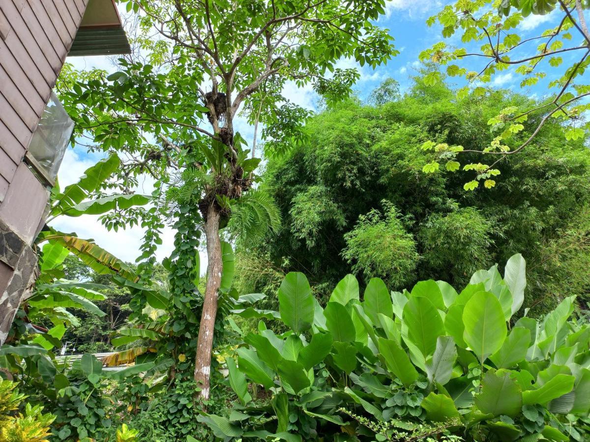 Sunrise House Bed & Breakfast Quepos Luaran gambar