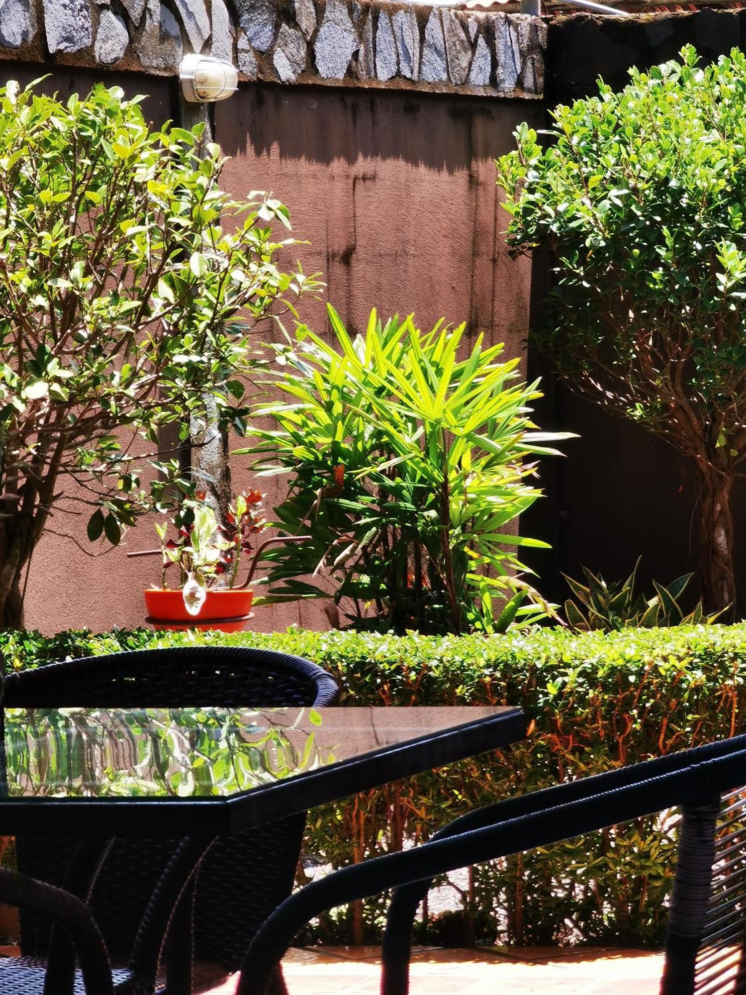 Sunrise House Bed & Breakfast Quepos Luaran gambar