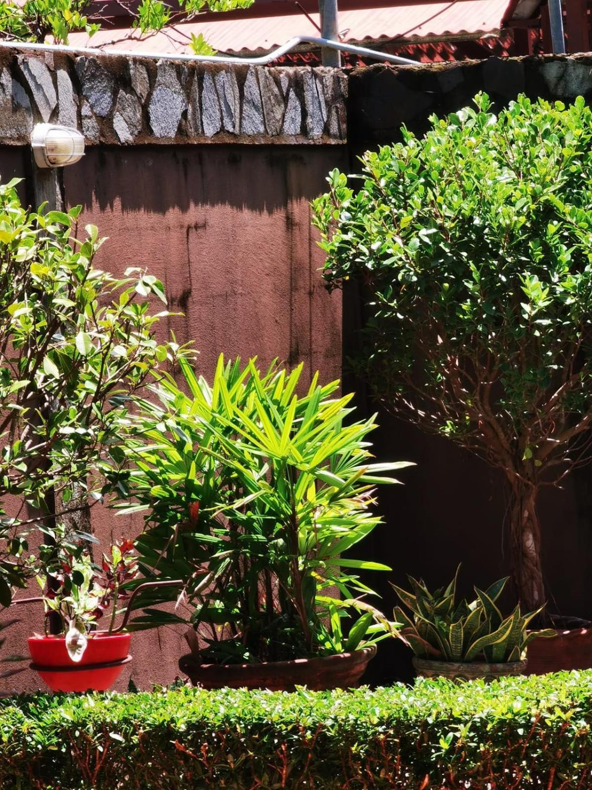 Sunrise House Bed & Breakfast Quepos Luaran gambar